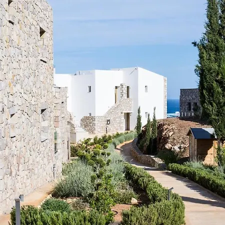 White Donkey Boutique