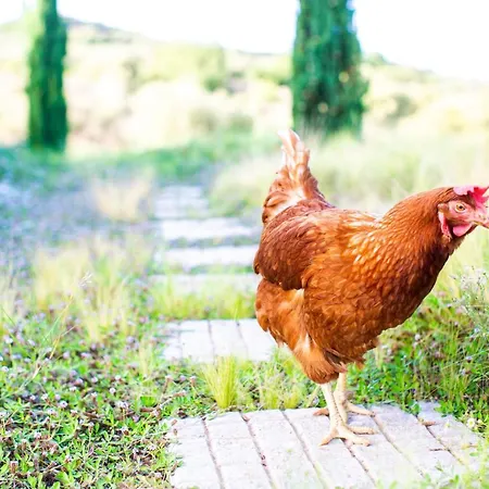 Hotel White Donkey Boutique (adults Only) 4*