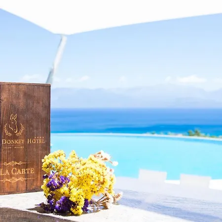 White Donkey Boutique