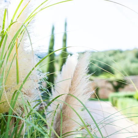 Hotel White Donkey Boutique Hotel Adults Oriented - Guests Aged 8 Plus Welcome Chrani