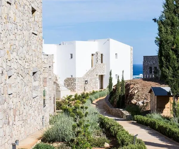 White Donkey Boutique (adults Only)