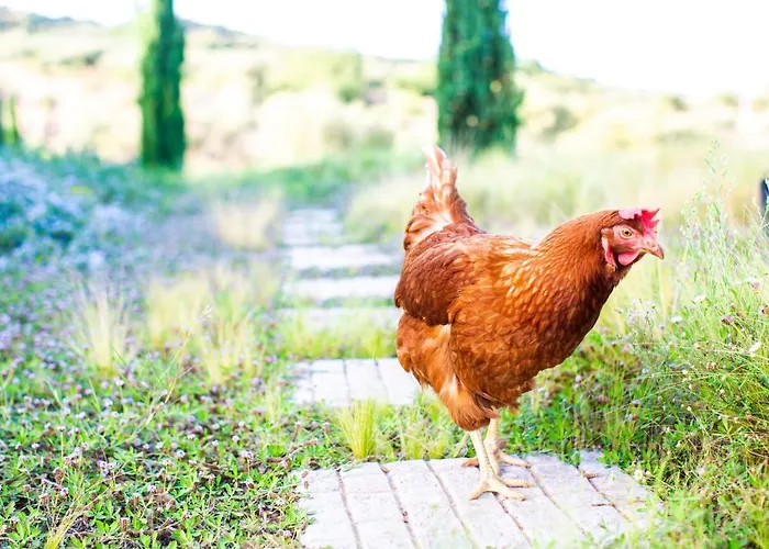 Hotel White Donkey Boutique (adults Only) 4*