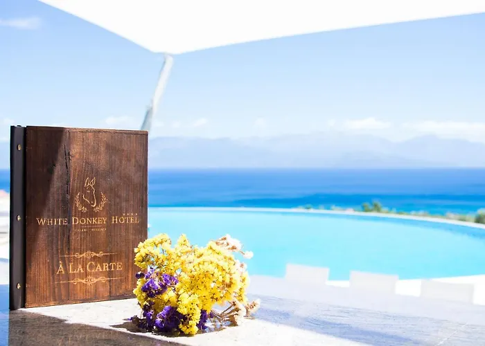 White Donkey Boutique (adults Only)