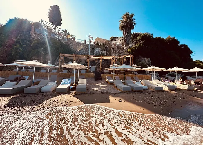 White Donkey Boutique (adults Only)