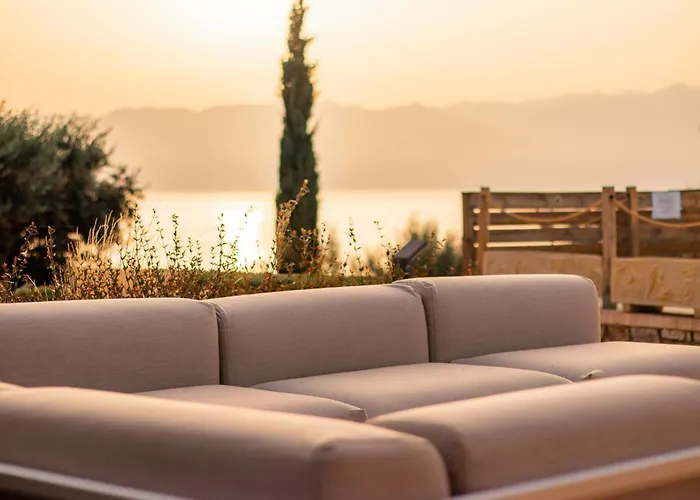 White Donkey Boutique (adults Only)