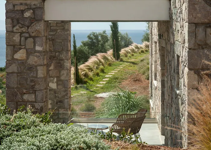 White Donkey Boutique (adults Only)