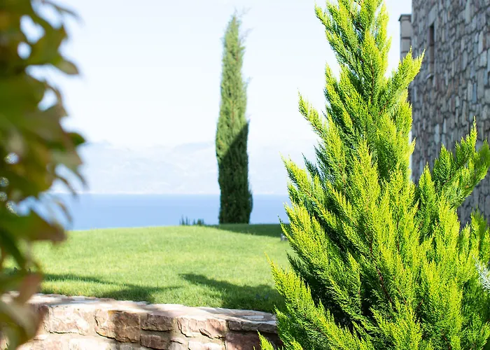 White Donkey Boutique (adults Only) Chrani